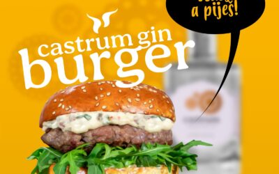 Castrum gin burger